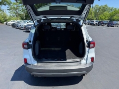 Used 2025  Ford Escape ST-Line FWD at Dime Down by Frank Leta near Bridgeton&comma; MO