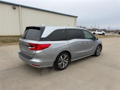 Used 2024  Honda Odyssey Touring Auto at Dime Down by Frank Leta near Bridgeton&comma; MO