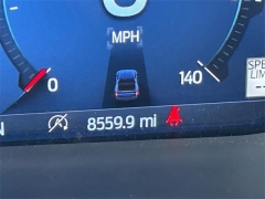 Used 2024 Ford F-150 4WD Raptor SuperCrew 5.5' Box at Dime Down by Frank Leta near Bridgeton, MO