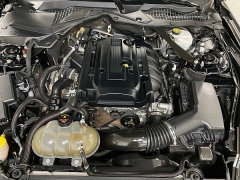 Used 2019  Ford Mustang 2d Convertible EcoBoost Premium at Ideal Cars Llc near Mesa&comma; AZ