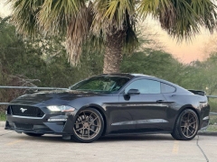 Used 2022  Ford Mustang GT Premium Fastback at Drivenci Motors near Olmito&comma; TX
