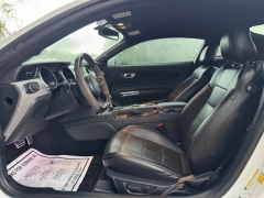 Used 2020  Ford Mustang 2d Fastback GT Premium at Drivenci Motors near Olmito&comma; TX