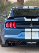 Used 2021  Ford Mustang Shelby GT500 Fastback at Drivenci Motors near Olmito&comma; TX