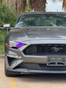 Used 2020  Ford Mustang 2d Fastback GT Premium at Drivenci Motors near Olmito&comma; TX
