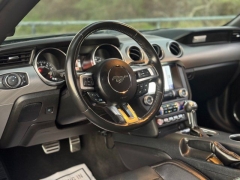 Used 2022  Ford Mustang GT Premium Fastback at Drivenci Motors near Olmito&comma; TX