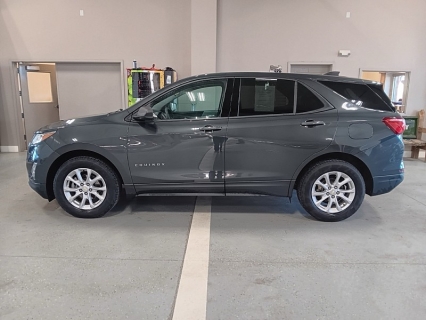 2019 Chevrolet Equinox LS's photo