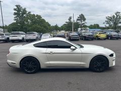 Used 2018  Ford Mustang EcoBoost Fastback at Leadbelt Auto Sales near Leadington&comma; MO