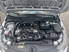 Used 2024  Toyota Corolla LE CVT &lpar;Natl&rpar; at Leadbelt Auto Sales near Leadington&comma; MO