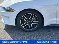 Used 2019  Ford Mustang 2d Fastback EcoBoost Premium at SKCO Automotive near Mobile, AL