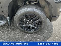 Used 2024  Chevrolet Silverado 1500 4WD Crew Cab 147" Custom Trail Boss at SKCO Automotive near Mobile&comma; AL