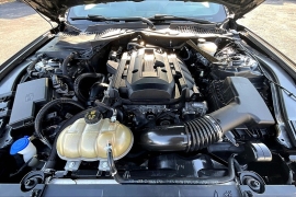 Used 2020 Ford Mustang 2d Convertible Eco Premium at Pre-Owned Plus near San Antonio, TX