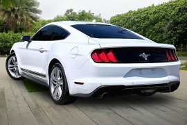 Used 2021  Ford Mustang EcoBoost Premium Fastback at Pre-Owned Plus near San Antonio&comma; TX
