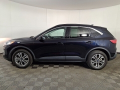 Used 2021 Ford Escape SEL AWD at Royal Family Motors Alliance near Alliance, OH