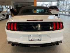 Used 2019  Ford Mustang EcoBoost Convertible at Maxx Loans near St. Adrian, MI