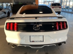 Used 2017  Ford Mustang GT Fastback at Maxx Loans near St. Adrian, MI