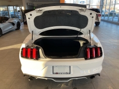 Used 2017  Ford Mustang GT Fastback at Maxx Loans near St. Adrian, MI