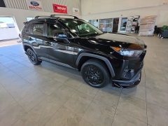 Used 2020  Toyota RAV4 4d SUV AWD LE at Maxx Loans near St&period; Adrian&comma; MI