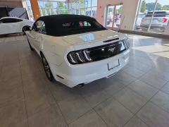 Used 2017  Ford Mustang 2d Convertible EcoBoost Premium at Maxx Loans near St&period; Adrian&comma; MI