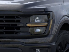 New 2025 Ford F-150 XLT 4WD SuperCrew Box at Suburban Ford of Sterling Heights near Sterling Heights, MI