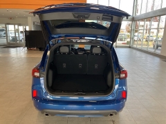 Used 2023  Ford Escape ST-Line Elite AWD at Maxx Loans near St&period; Adrian&comma; MI