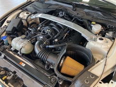 Used 2020 Ford Mustang Shelby Fastback at Suburban Ford of Sterling Heights near Sterling Heights, MI