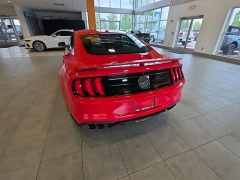 Used 2019  Ford Mustang GT Fastback at Maxx Loans near St&period; Adrian&comma; MI