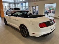 Used 2019  Ford Mustang EcoBoost Convertible at Maxx Loans near St. Adrian, MI