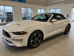 Used 2019  Ford Mustang EcoBoost Convertible at Maxx Loans near St. Adrian, MI
