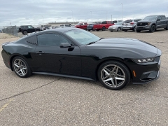 Used 2024 Ford Mustang EcoBoost Fastback at Suburban Ford of Sterling Heights near Sterling Heights, MI