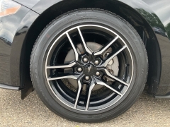 Used 2022 Ford Mustang EcoBoost Fastback at Suburban Ford of Sterling Heights near Sterling Heights, MI