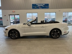 Used 2019  Ford Mustang EcoBoost Convertible at Maxx Loans near St. Adrian, MI