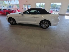 Used 2017  Ford Mustang 2d Convertible EcoBoost Premium at Maxx Loans near St&period; Adrian&comma; MI