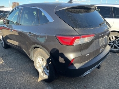Used 2020 Ford Escape 4d SUV AWD SE at Suburban Ford of Sterling Heights near Sterling Heights, MI