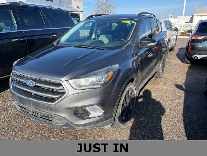 2017 Ford Escape Titanium's photo