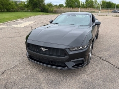 Used 2024 Ford Mustang EcoBoost Fastback at Suburban Ford of Sterling Heights near Sterling Heights, MI