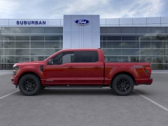New 2025 Ford F-150 XLT 4WD SuperCrew Box at Suburban Ford of Sterling Heights near Sterling Heights, MI