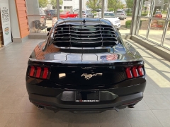 Used 2024 Ford Mustang EcoBoost Fastback at Maxx Loans near ,