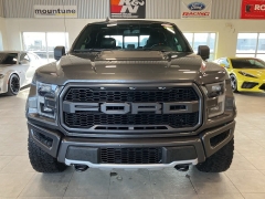 Used 2019  Ford F-150 4WD SuperCrew Raptor at Maxx Loans near St&period; Adrian&comma; MI