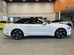 Used 2019  Ford Mustang EcoBoost Convertible at Maxx Loans near St. Adrian, MI