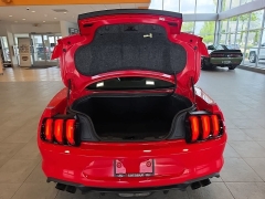 Used 2019  Ford Mustang GT Fastback at Maxx Loans near St&period; Adrian&comma; MI