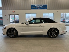 Used 2019  Ford Mustang EcoBoost Convertible at Maxx Loans near St. Adrian, MI