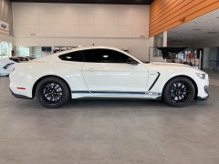 Used 2020 Ford Mustang Shelby Fastback at Suburban Ford of Sterling Heights near Sterling Heights, MI