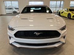 Used 2019  Ford Mustang EcoBoost Convertible at Maxx Loans near St. Adrian, MI