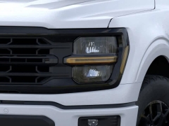 New 2025 Ford F-150 XLT 4WD SuperCrew Box at Suburban Ford of Sterling Heights near Sterling Heights, MI