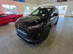 Used 2020  Toyota RAV4 4d SUV AWD LE at Maxx Loans near St&period; Adrian&comma; MI