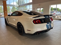 Used 2020 Ford Mustang Shelby Fastback at Suburban Ford of Sterling Heights near Sterling Heights, MI
