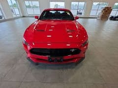 Used 2019  Ford Mustang GT Fastback at Maxx Loans near St&period; Adrian&comma; MI