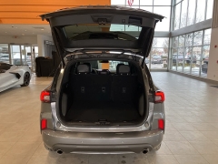 Used 2023  Ford Escape ST-Line Elite AWD at Maxx Loans near St. Adrian, MI