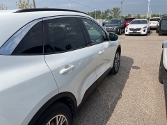 Used 2020 Ford Escape 4d SUV FWD SEL at Suburban Ford of Sterling Heights near Sterling Heights, MI