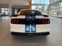 Used 2020 Ford Mustang Shelby Fastback at Suburban Ford of Sterling Heights near Sterling Heights, MI